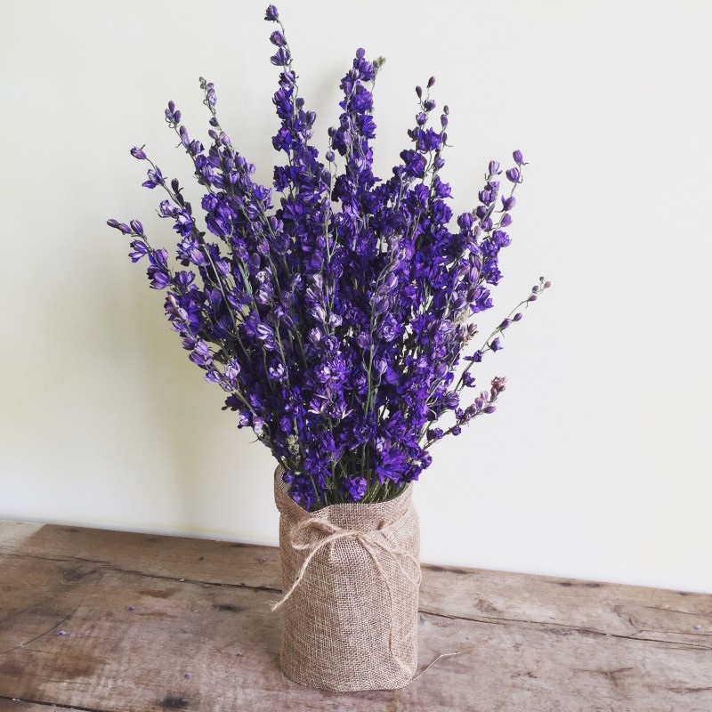 Hoa violet rất thích hợp để tặng bạn gái