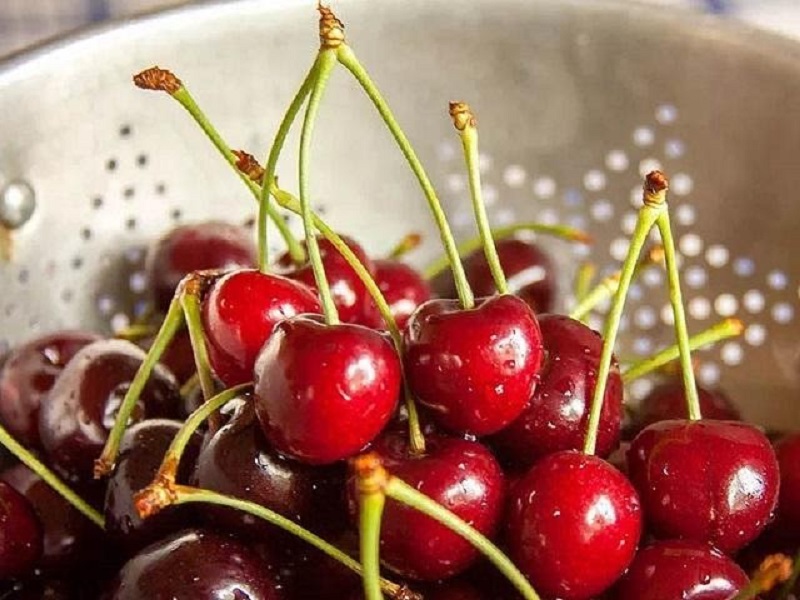 Các loại cherry được ưa chuộng trên thị trường