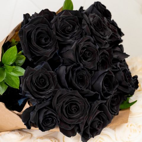 Giá bông hồng đen không hề rẻ nhưng chất lượng đảm bảo